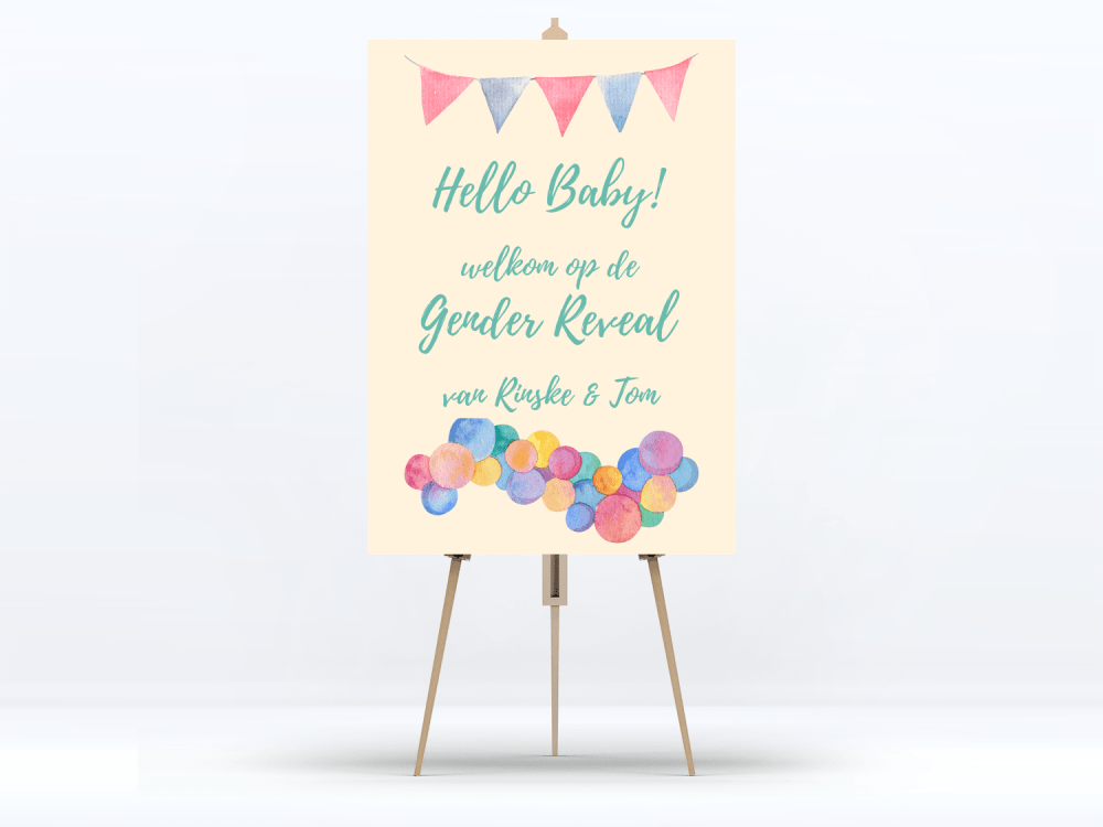 Welkomstbord Gender Reveal Colourfull