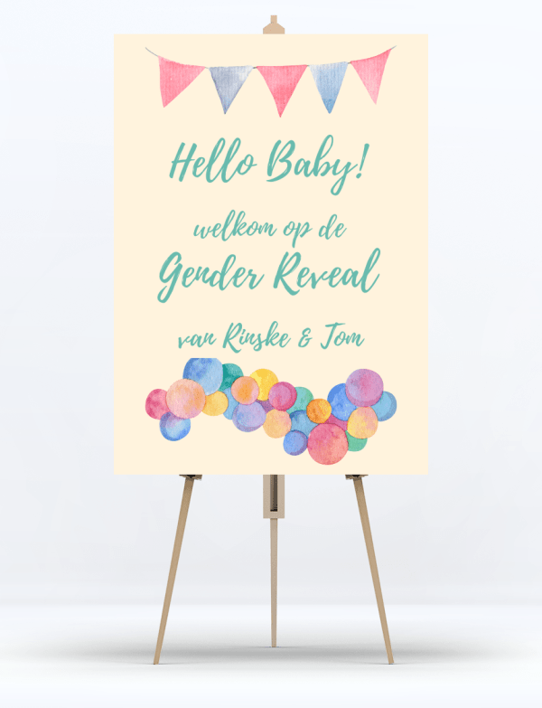 Welkomstbord Gender Reveal Colourfull