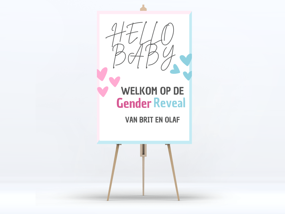 Welkomstbord Gender Reveal Hello Baby