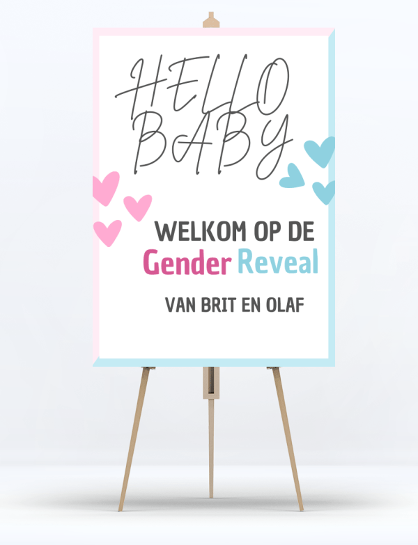 Welkomstbord Gender Reveal Hello Baby