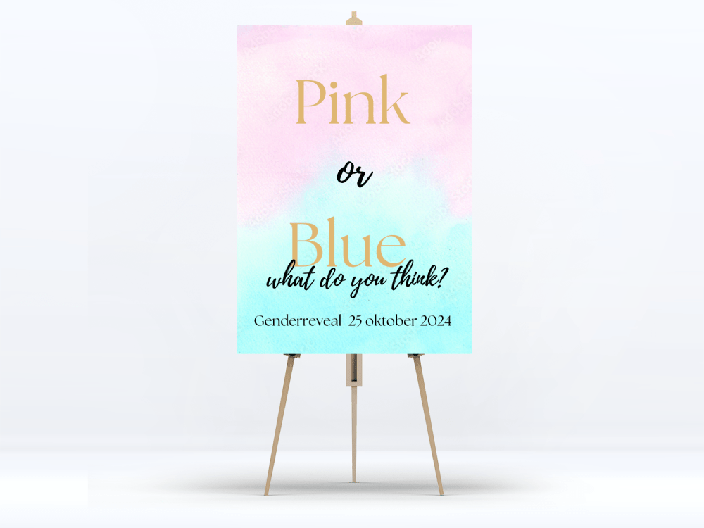 Welkomstbord Gender Reveal Watercolour