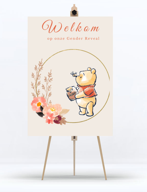 Welkomstbord Gender Reveal Winnie Pooh